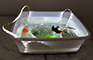 Mixed media: LED, epoxy, transparent sculture </br> 14 x 11 x 4.5 in
