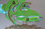 Size: 46" x 80"